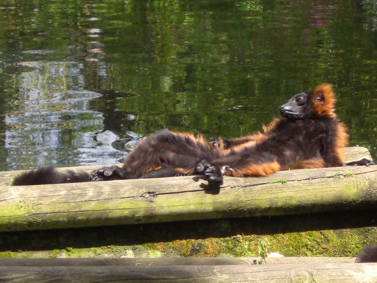 Wo bleibt mein Guinness???