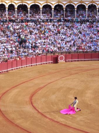 Der Torero vor der Pforte des Stieres in (freudiger) Erwartung.