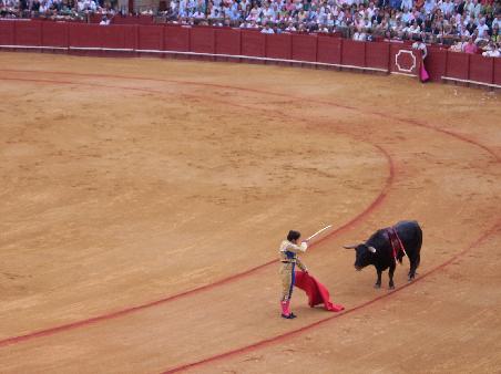 Matador setzt zum Stoss an. Der arme Stier will gar nicht weglaufen oder angreifen und laesst alles ganz brav ueber sich ergehen.