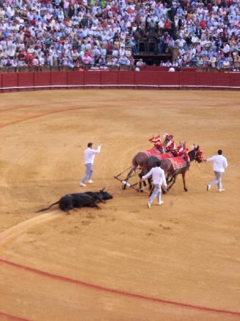 Die letzte Runde durch die Arena.