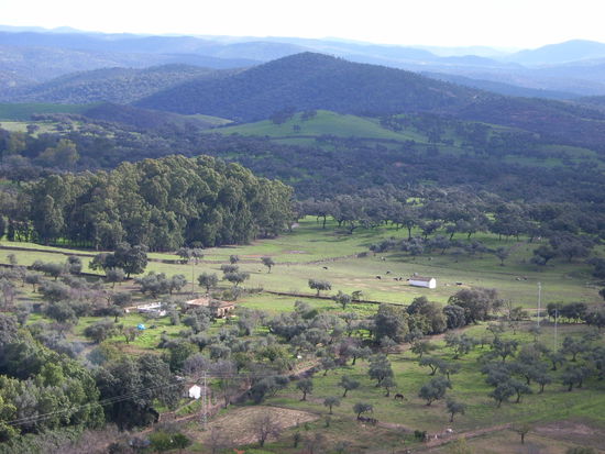 es gruent so gruen - endlich mal wieder