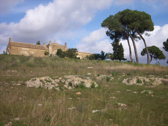 Kapelle mit Pinienwald