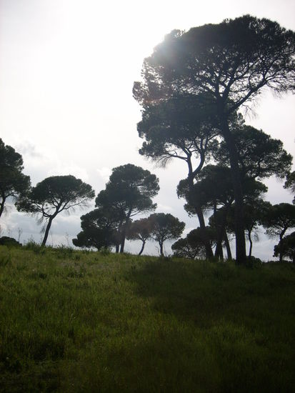 Clau im Fotowahnsinn