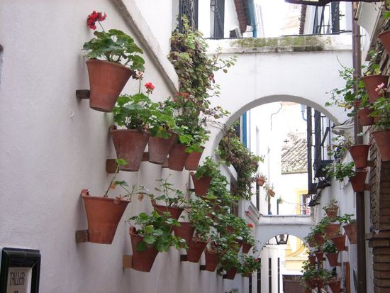 typisches andalusisches Bild, die Blumentoepfe an den Waenden