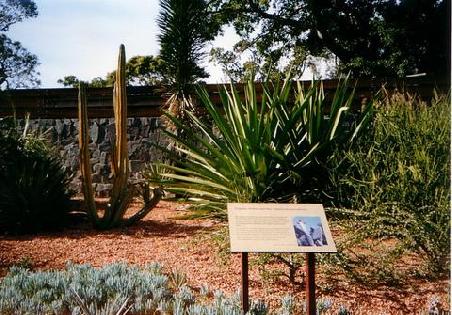 Botanischer Garten