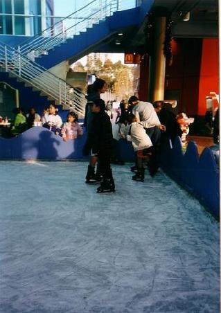 Der Eislaufplatz im August...