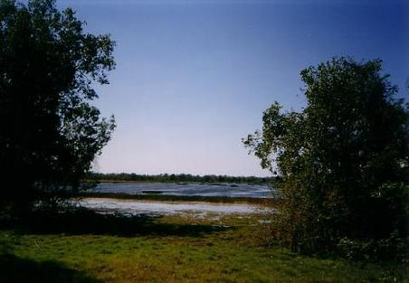 Aussicht von dem Vogelposten