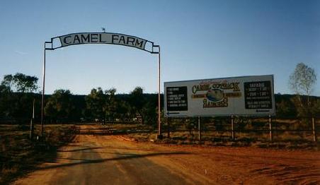 Neben unserem Campground war eine Camelfarm.