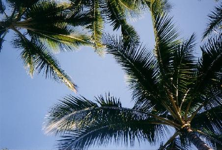 Willkommen in Cairns!