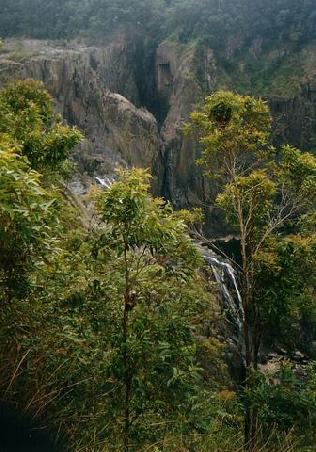 Barron Gorge National Park (durch den fährt die Bahn)