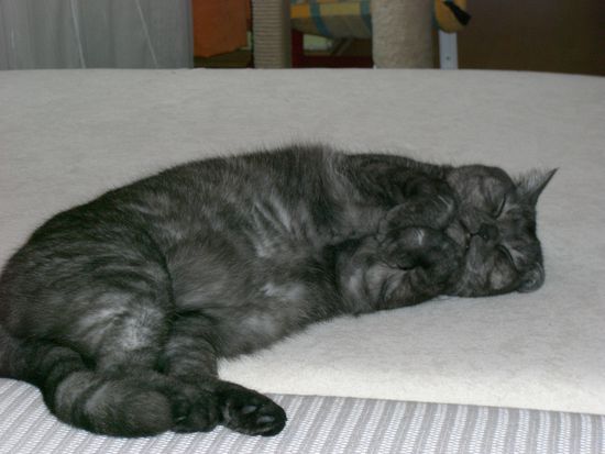 Wie man sieht, es geht ihnen gut! *;o)