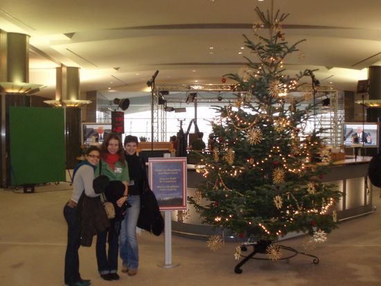 wir und Niederösterreichischer Weihnachtsbaum - ca. 4 Meter hoch, aber schaut trotzdem mickrig aus im riesigen Parlament! (Sorry Christiane!)