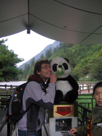 robibär und pandabär
