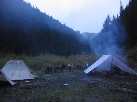 unser nachtlager. die "matratze" bestand aus tannenzweigen.
