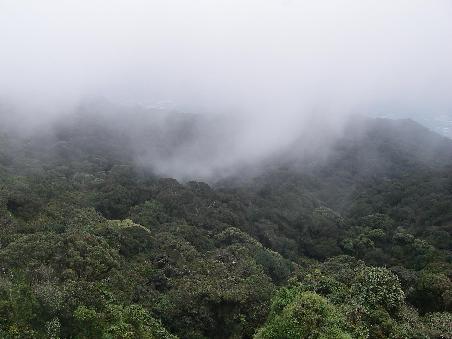 Auf dem Gunung Brichang
Nur ungefaehr 2 Mal pro Monat ist die Sicht gut