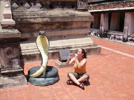 Wat dat hat Cobra