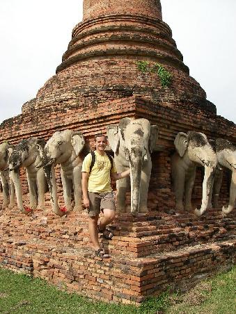 Wat Chang Lom, der grosse Stupa wird von 26 Elefantenskulpturen getragen
