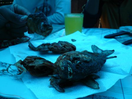 Piranhas auf dem Teller, nicht viel Fleisch aber lecker!