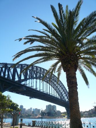 Bruecke in Sydney (trotz tiefster Winterzeit, angenehm sonnig und warm)