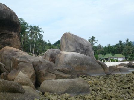 Im Hintergrund mein Bungalow - Samui