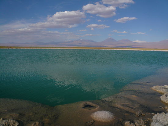 Badestrand Salar de Atacama