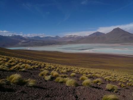 Laguna Blanca