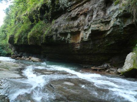 Fluss im Jungle