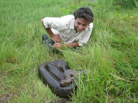Anaconda und Guia