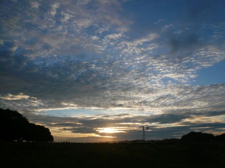 Morgenstimmung in Los Llanos