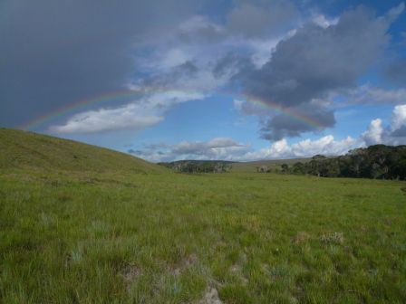 Regenbogen ueber der Gran Sabana. Regen und Sonnenschein haben uns staendig wechselnd auf der Wanderung begleitet.