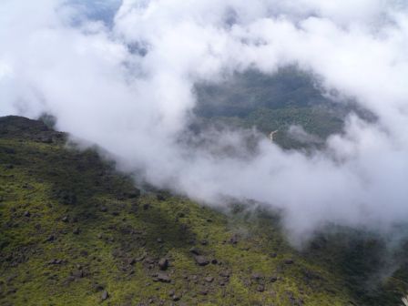 Ausblick auf den Dschungel Britisch Guianas (ca. 1000 Meter tiefer)