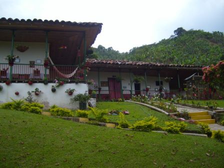Unsere Kaffee-Plantage (Finca) nahe Pereira