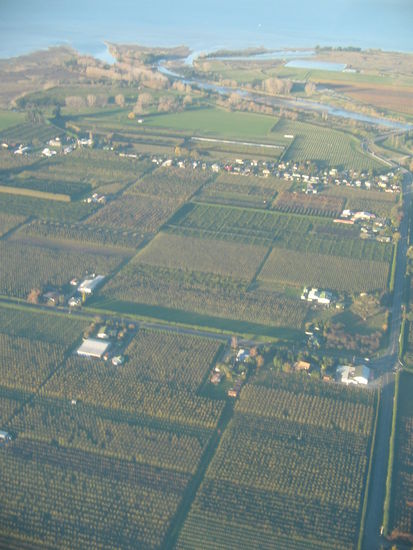Kiwi und Apfelplantagen in Motueka