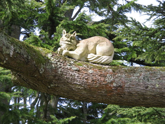 Grinsekatze
