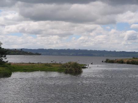 Lake Rotorua