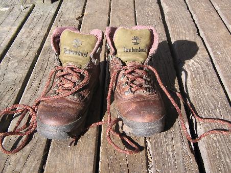 ...auch die waren froh,sich auf der Huette etwas in der Sonne zu erholen-meine neuen Boots,wir werden sicher irgendwann Freunde!