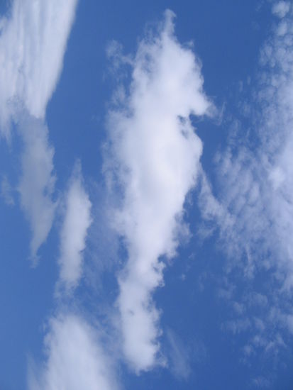 Ich find die Wolke sieht aus wie ein Seepferdchen,oder nicht?