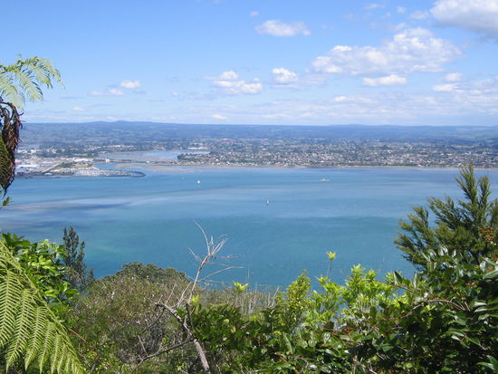 Blick nach Tauranga
