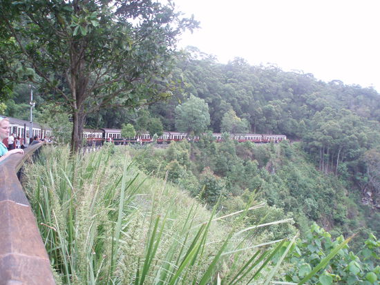 Die Bahnstrecke wurde mitten durch den Wald gebaut