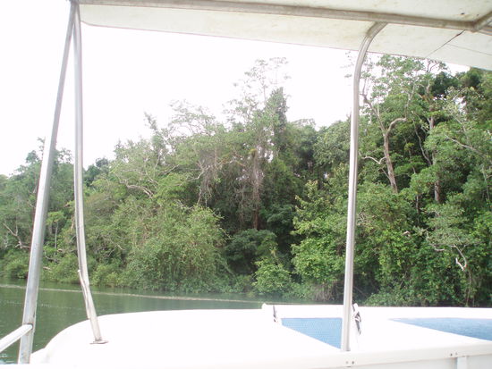 Während der Fahrt auf dem Daintree River