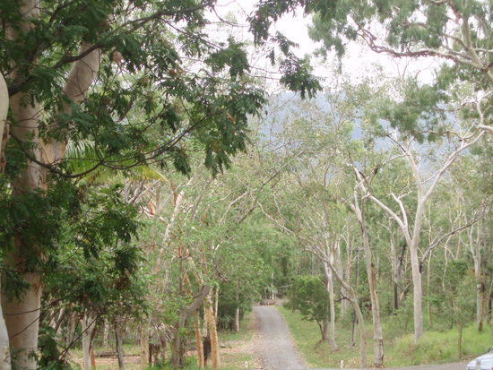 Hinter dem Strand befindet sich auch eine nette Gegend für einen Spaziergang
