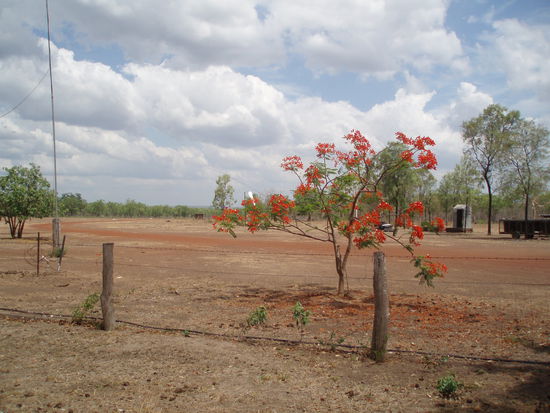 Blick aus dem Küchenfenster