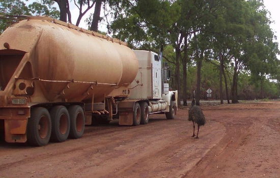 Australische Wahrzeichen am Musgrave Roadhouse: Roadtrain und Emu