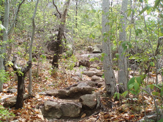 Der Weg zum Hawkings Point