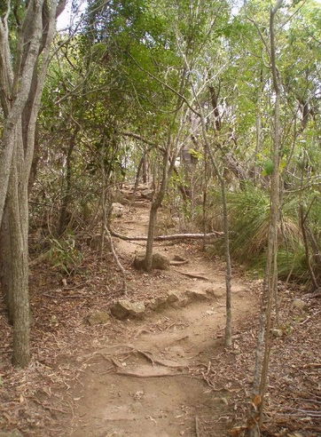 Bushwalk zum Logout