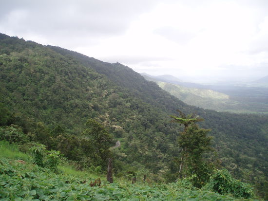 Auf dem Weg hielten wir noch einmal am Straßenrand, um diesen Ausblick auf den Nationalpark zu genießen