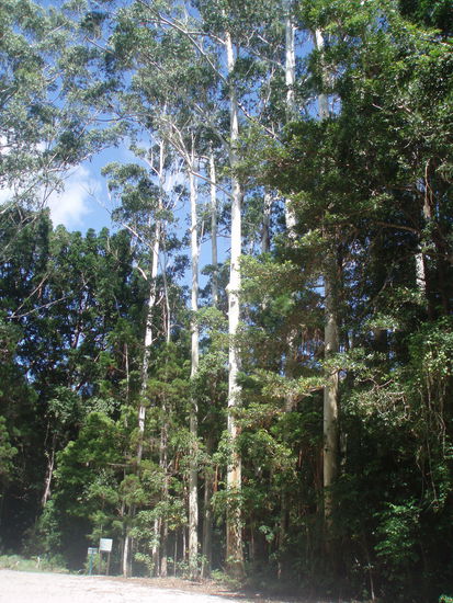 Bei der Central Station
