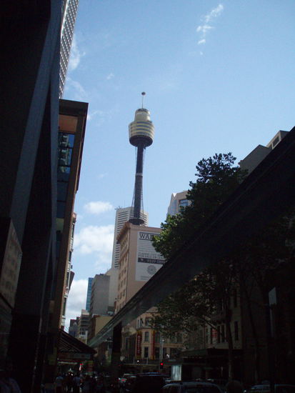 Blick auf den Sydney Tower