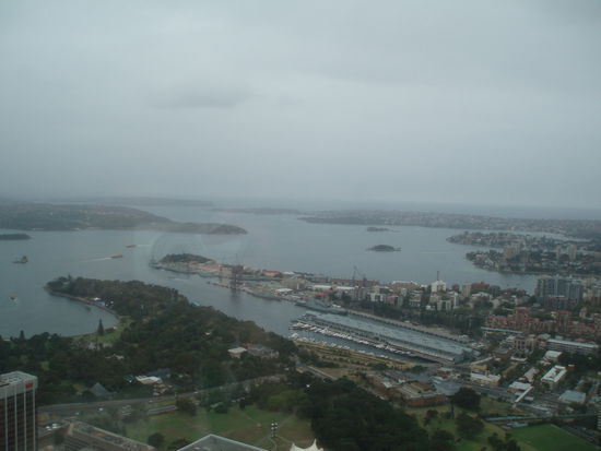 Vom Sydney Tower aus hat man einen super Ausblick über die Stadt und den Hafen. Bei gutem Wetter ist dieser sicherlich noch viel besser!