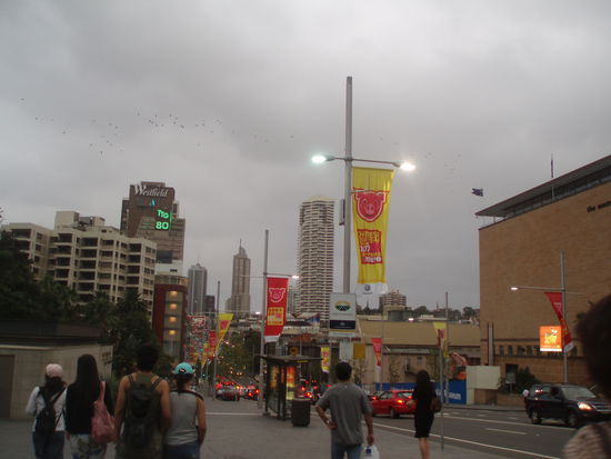 Hier geht es von der Innenstadt zum Stadtteil Kings Cross. Da Mitte Februar das chinesische Neujahrsfest stattfindet und das Jahr des Schweins beginnt, hängen überall in der Stadt Banner mit Schweinsköpfen.
